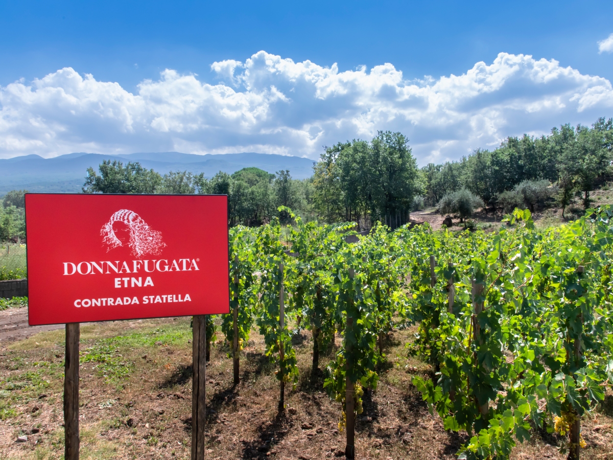 I vini etnei di Donnafugata: passione vulcanica.